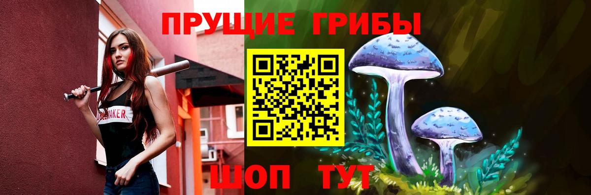 Галлюциногенные грибы Psilocybine cubensis Будённовск