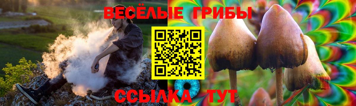 Псилоцибиновые грибы прущие грибы Будённовск